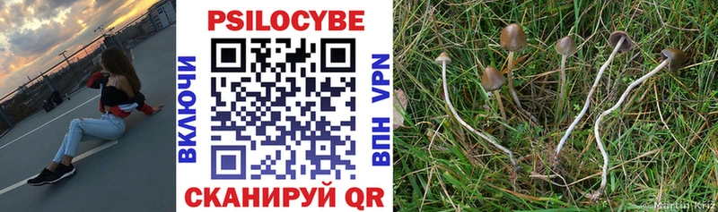 Псилоцибиновые грибы Psilocybe  darknet телеграм  Одинцово  сколько стоит 