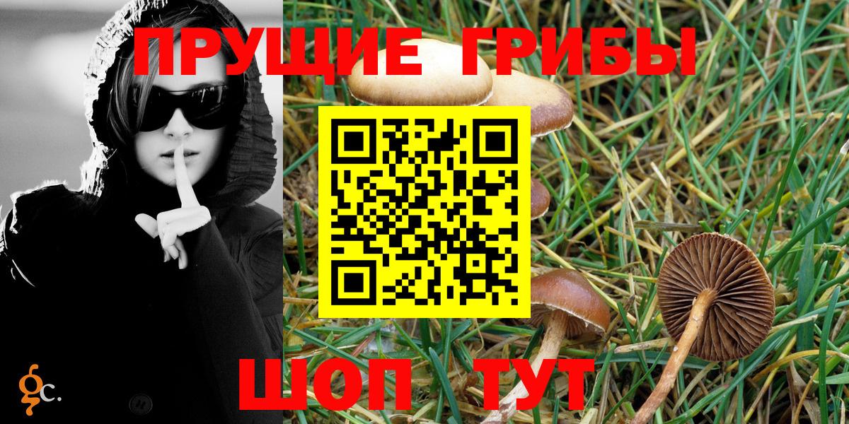 Галлюциногенные грибы Cubensis  как найти наркотики  Одинцово  Вход с VPN 