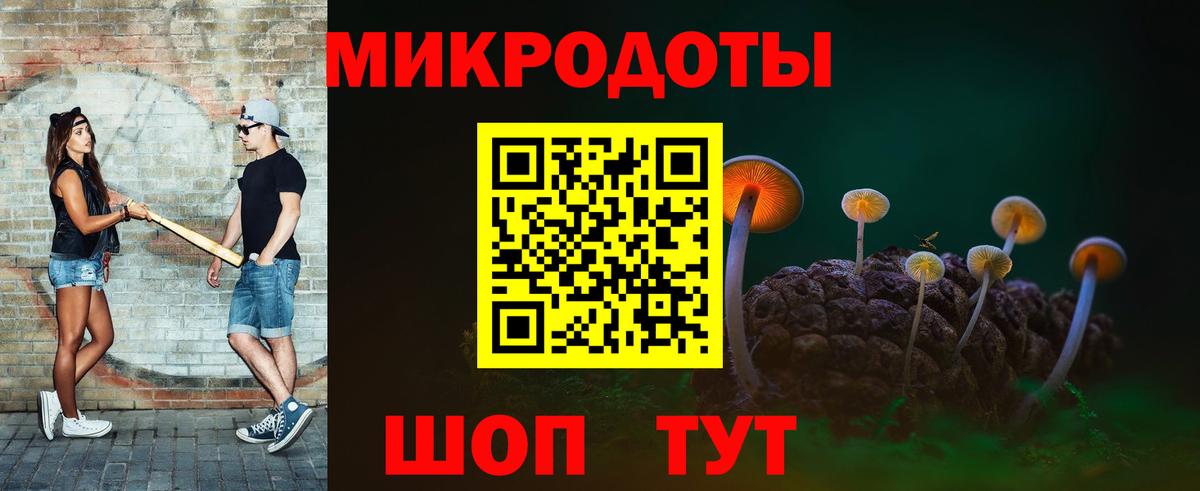 Псилоцибиновые грибы Cubensis Одинцово