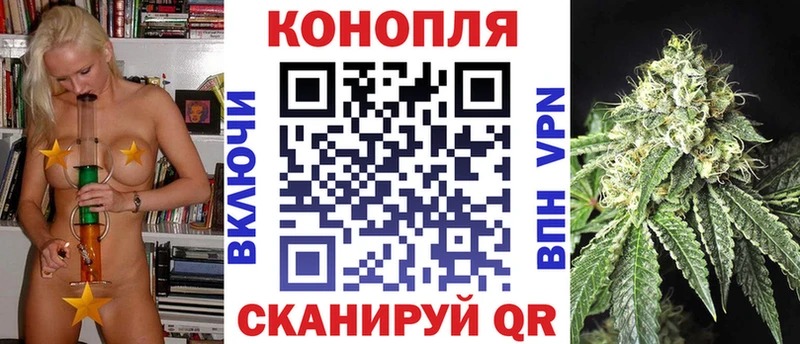Конопля тримм  купить закладку  Одинцово 